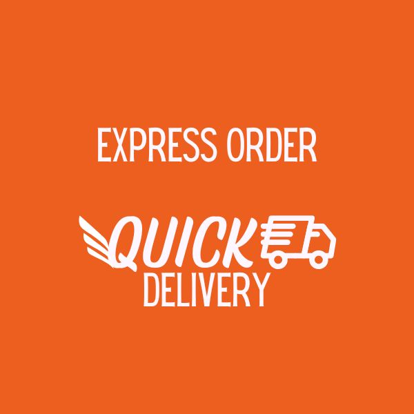 Quick Delivery Express Order Logo