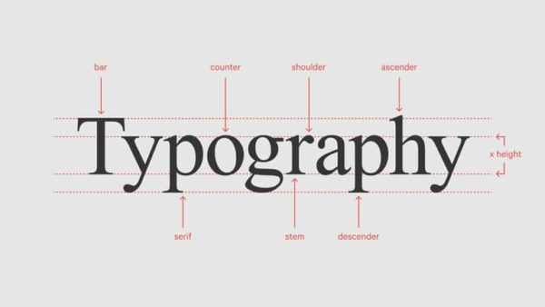 Typography